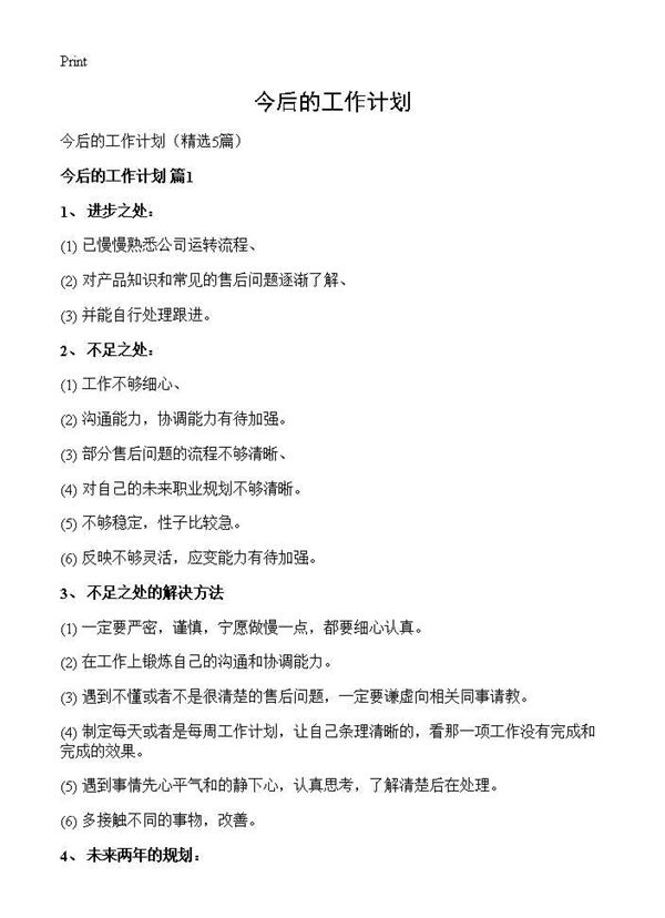 今后的工作计划 (共6页)