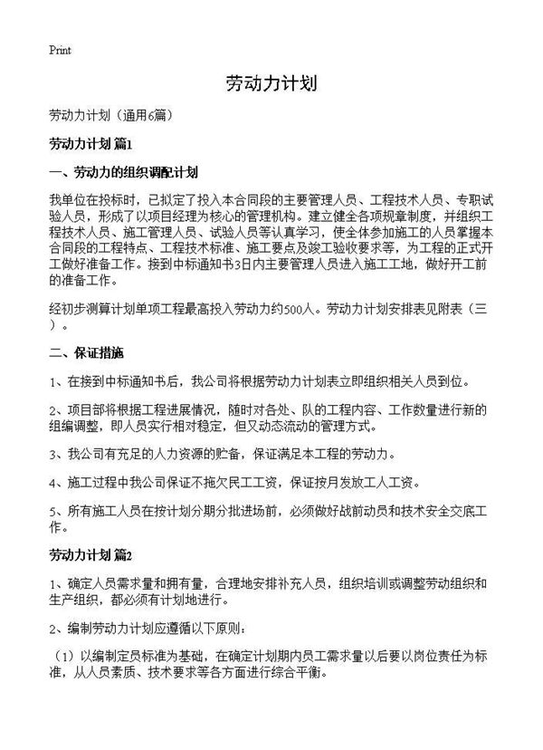 劳动力计划 (共4页)