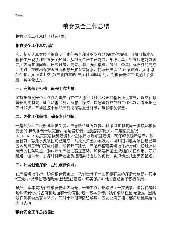 粮食安全工作总结 (共5页)